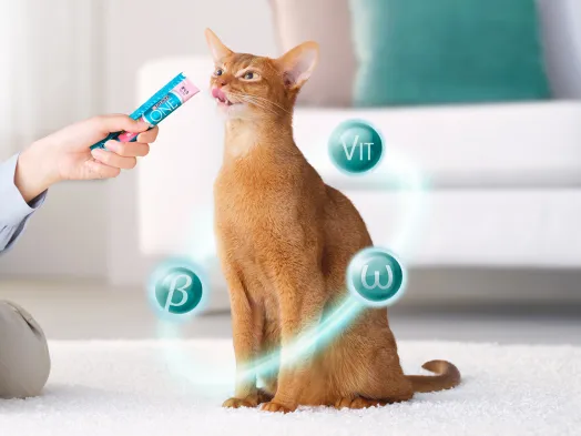 ピュリナ ワン 猫用フード(Purina ONE Cat) - ピュリナ公式サイト